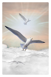 Journey Home Clouds Birds Bronze